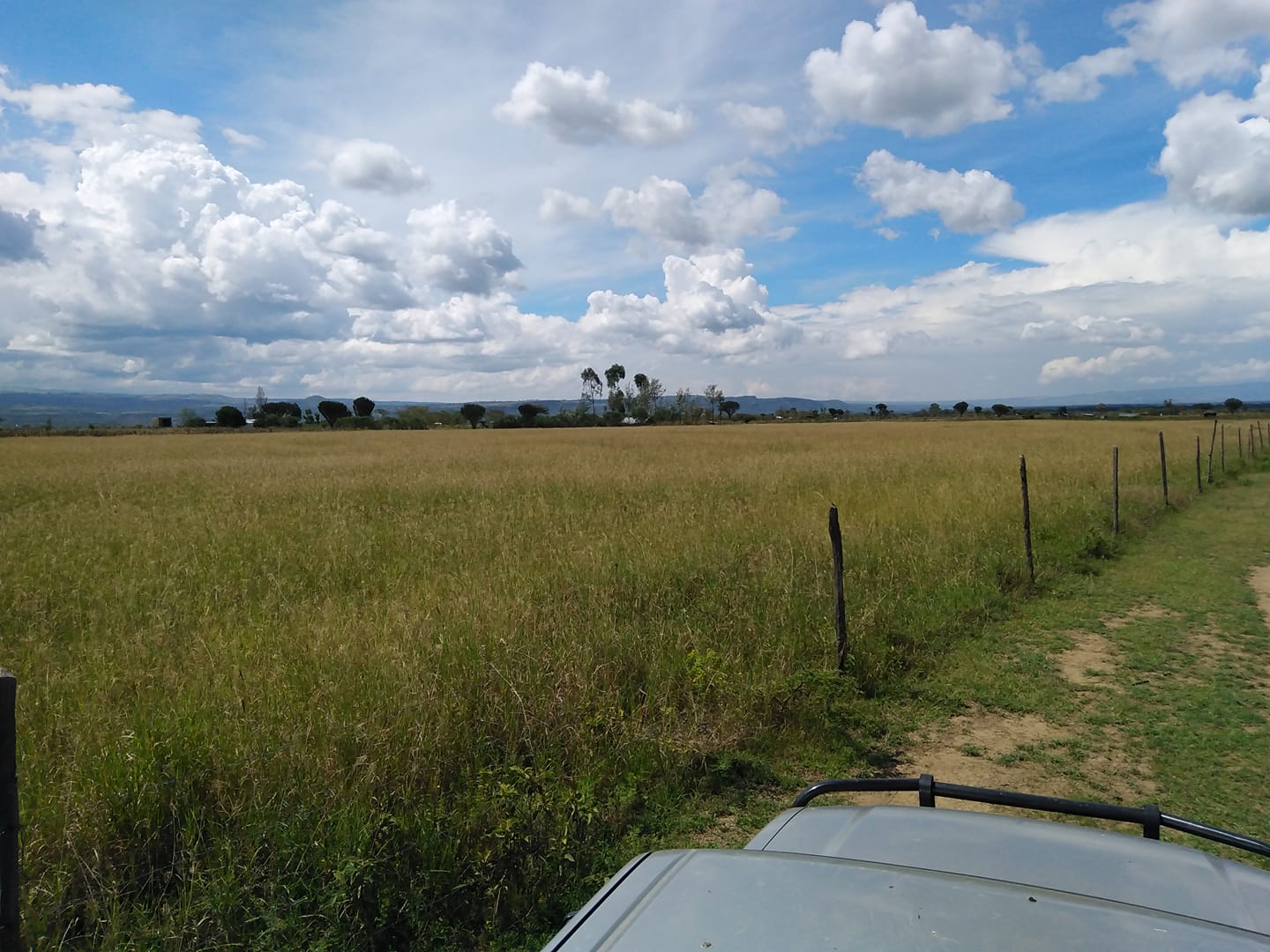 77025535_1791092204368502_828899615494373376_o